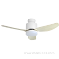 Low profile ceiling fan